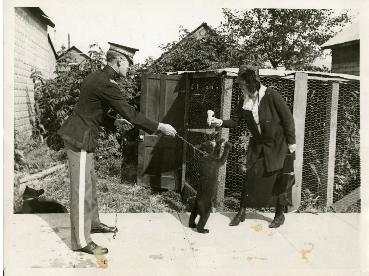 HooverPresLib's tweet image. National Ice Cream Day is the 3rd Sunday in July. This photo shows Lou Henry Hoover feeding ice cream to a bear cub in Seward, Alaska during President Harding’s “Voyage of Understanding.” (31-1923-05)