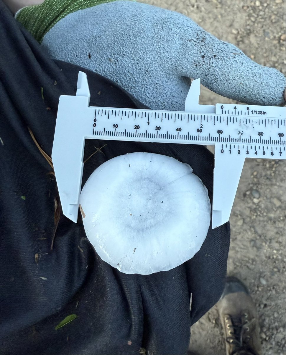 Jonathan Biemans tweet media