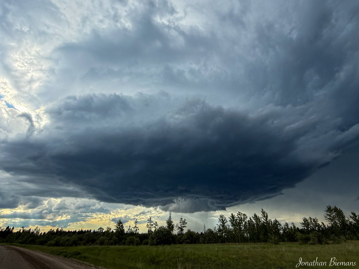 Jonathan Biemans tweet media