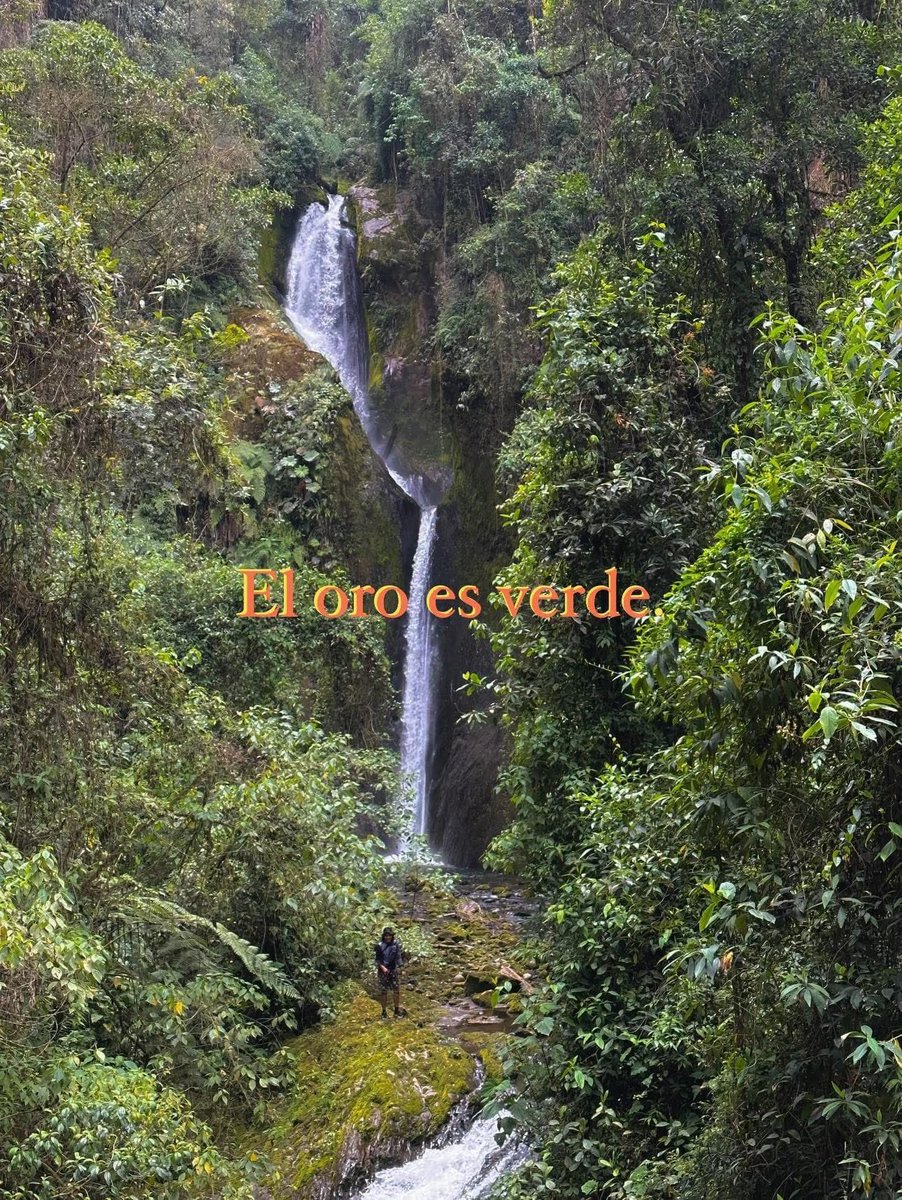 Angel Artesano ॐ (@angeel_artesano) on Twitter photo 