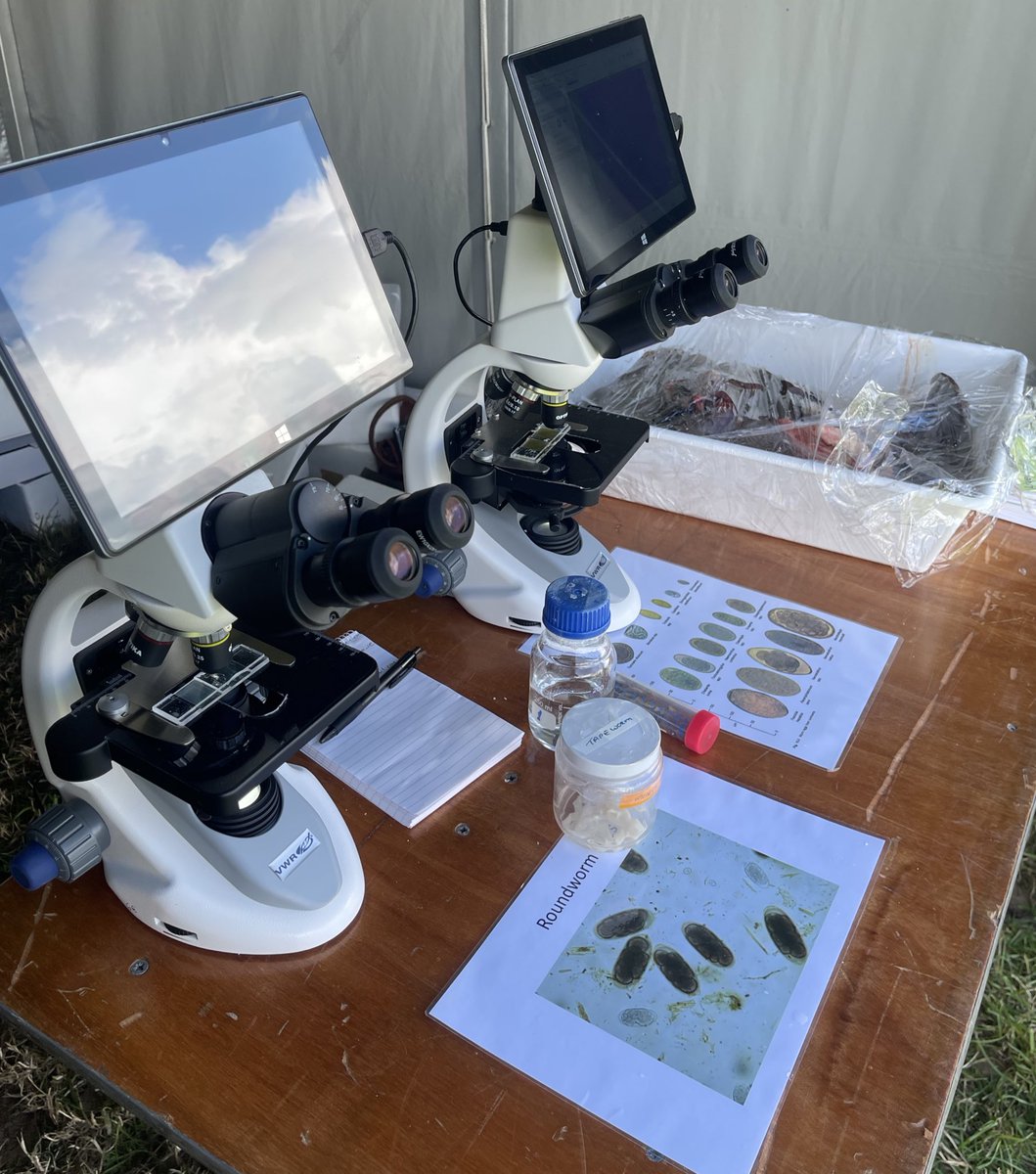 DarrenMcScience's tweet image. Great day at Moorepark @teagasc Open Day!🐄 Great chats with farmers about personal challenges with drug resistance &amp;amp; worm burdens. Brilliant to have GI nematode &amp;amp; fluke specimens on site to bring the science to life. Lots of talk on sustainable parasite control &amp;amp; best practices!
