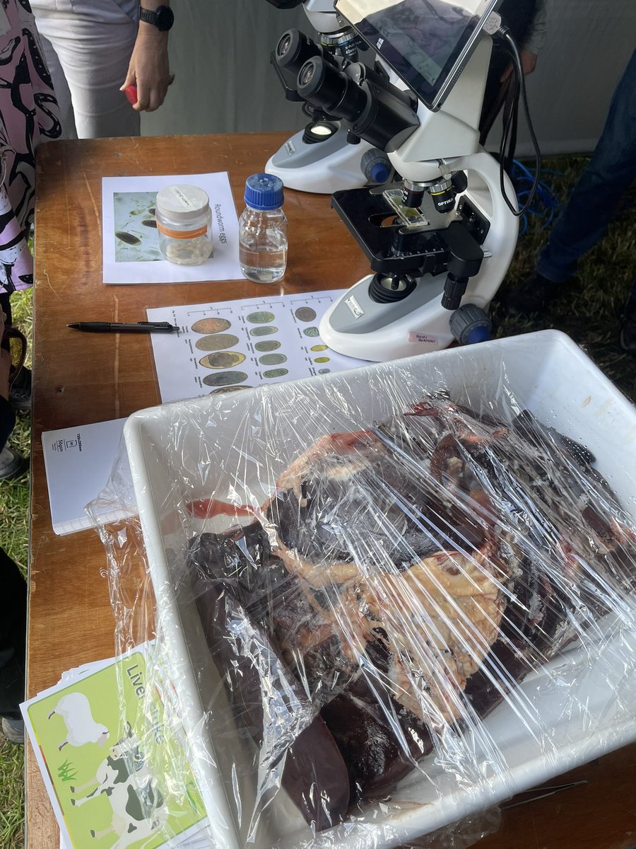 DarrenMcScience's tweet image. Great day at Moorepark @teagasc Open Day!🐄 Great chats with farmers about personal challenges with drug resistance &amp;amp; worm burdens. Brilliant to have GI nematode &amp;amp; fluke specimens on site to bring the science to life. Lots of talk on sustainable parasite control &amp;amp; best practices!