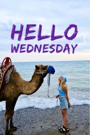 Happy Wednesday everybody. 🎶🎶🎸🎸👍👍