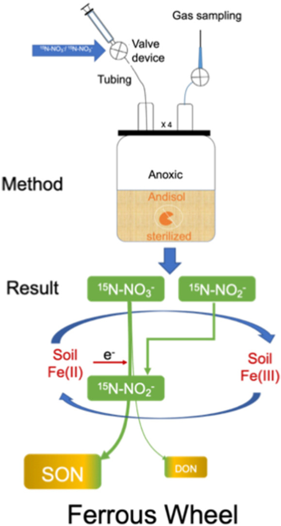 ykuzyakov's tweet image. NEW in J Environmental Management 💥
Ferrous wheel hypothesis: Abiotic incorporation of mineral #nitrogen into organic pools in #volcanic #soils of #forest #ecosystems
doi.org/10.1016/j.jenv…
Lead by Francisco Matus @PanchoMatusBa et al.
50-day Free: authors.elsevier.com/c/1lMmK_6sjVCH…