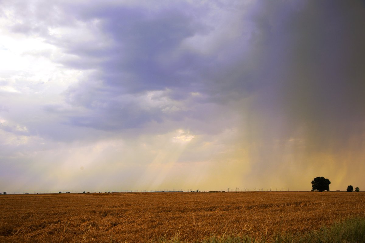 Una #tarde bella y tormentosa desde #Palencia #campos de #lavanda <a href="/tiempobrasero/">Tutiempo</a> <a href="/CyLEsVida/">Turismo Castilla y León</a> <a href="/tomeandres/">Andrés Tomé</a> <a href="/PalenciaTurismo/">Palencia Turismo</a> <a href="/TurismoPalencia/">Turismo Palencia CyL</a> <a href="/PalenciaAgenda/">Agenda Provincial de Palencia</a> <a href="/lasextameteo/">La Sexta Meteo</a> <a href="/fcocachometeo/">Francisco Cacho</a> <a href="/TiempoCyLTV/">El Tiempo en CyL</a> <a href="/ElTiempo_tve/">El Tiempo en TVE</a> <a href="/el_tiempohoy/">El Tiempo Hoy</a> <a href="/Marijosesanz73/">M.J.</a> <a href="/palentino/">palentino 🌾🌈❣️</a>