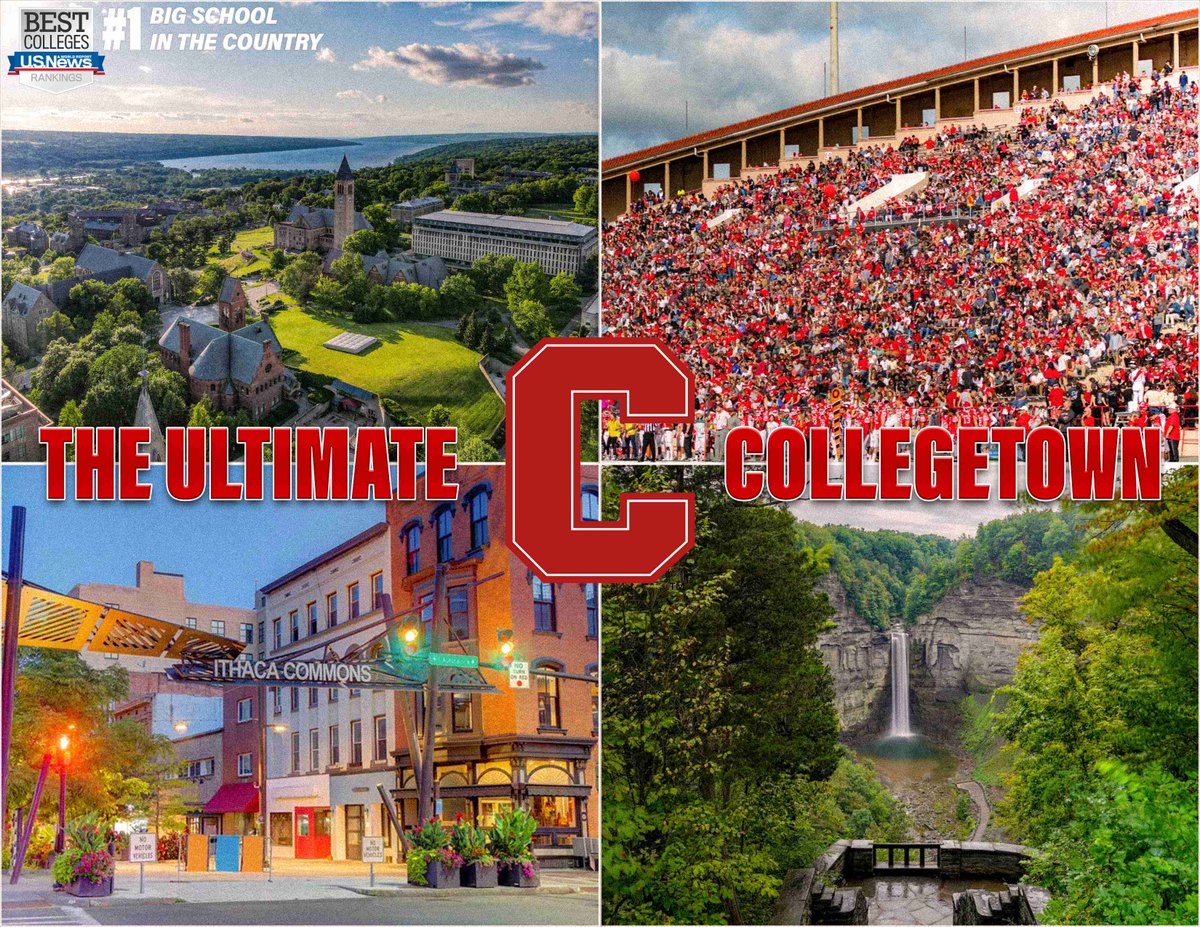 Aidan Tierney tweet media