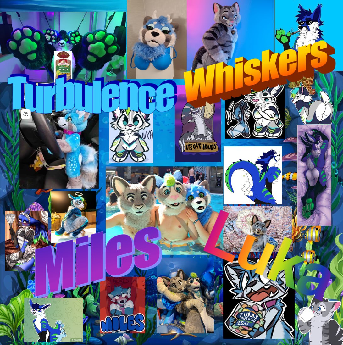 Whiskers Cat tweet media