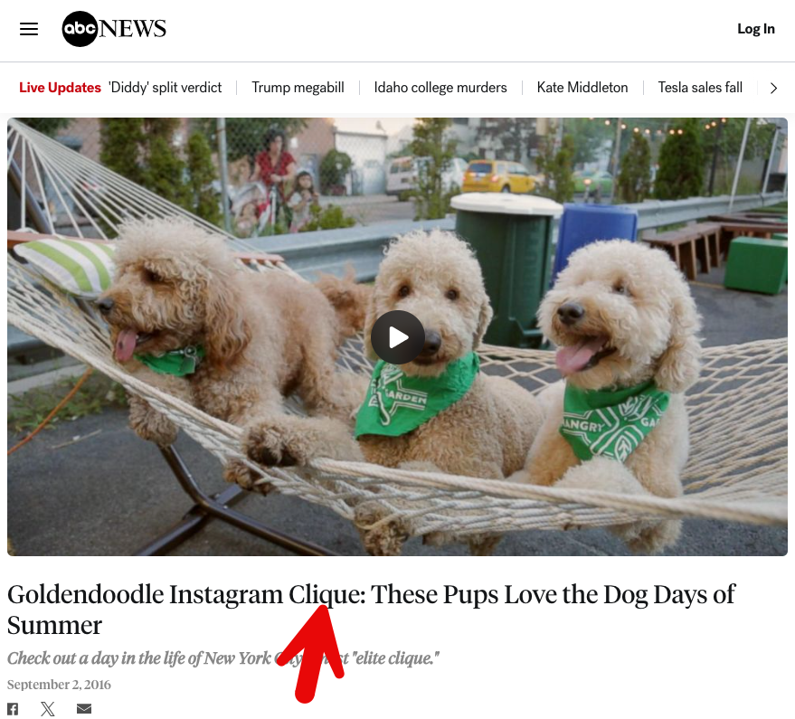 Not often than @abc refers to a "clique" unless it's about MS-13 or golden-doodles.