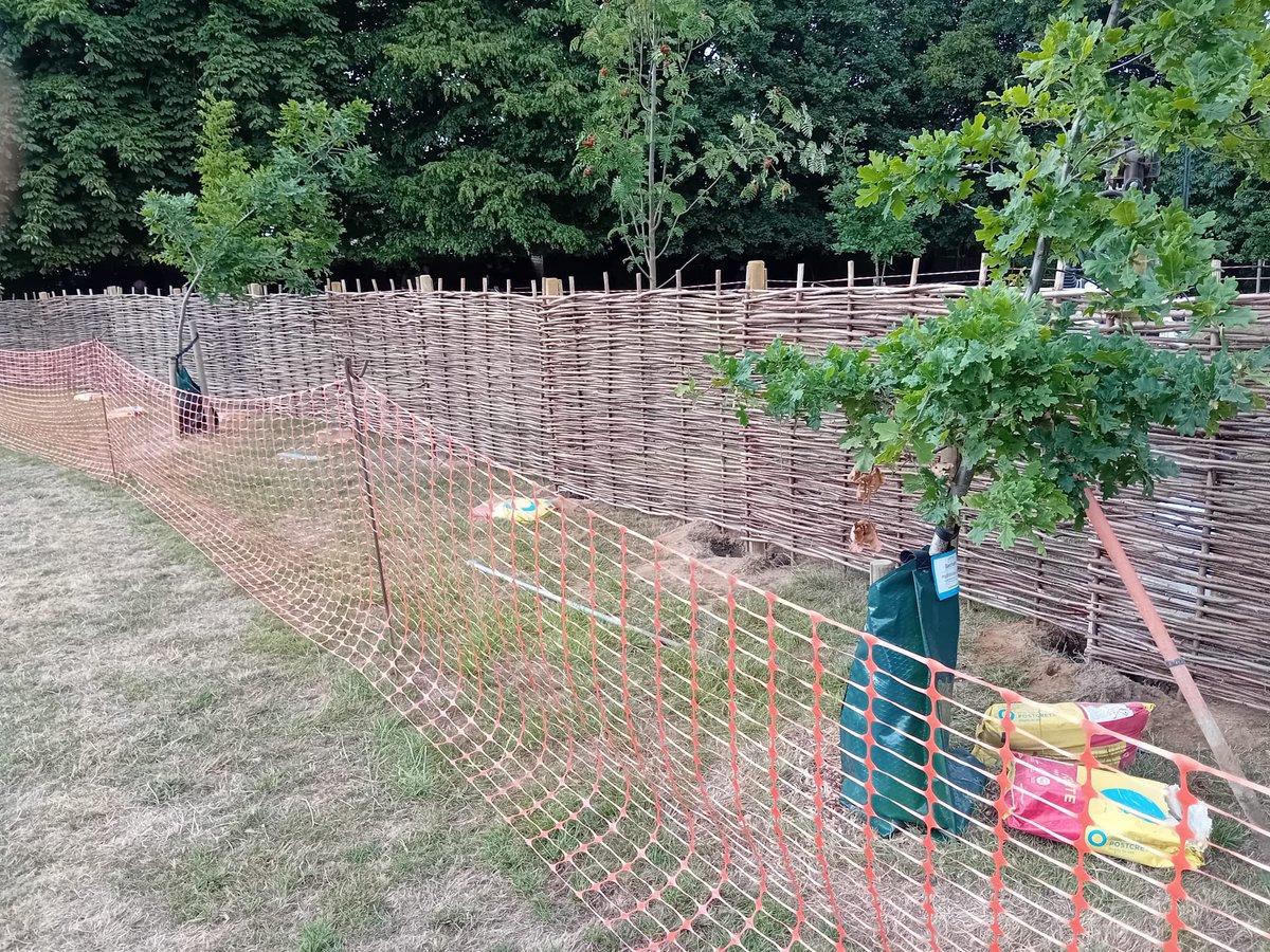 Something that makes us smile 😃 

We are super excited to share that the sensory garden is beginning to come to fruition 🥳🥳

We’re looking forward to watching the development of this space through updates on the school’s Facebook page so watch this space 👀🥰🥰