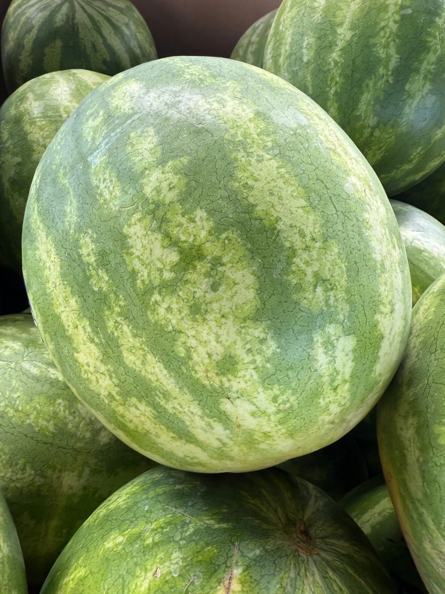 markfreemanmesa's tweet photo. We have watermelon at the Freeman Corn Patch. Perfect for BBQ’s on Friday! https://t.co/TEqh0aPAET
