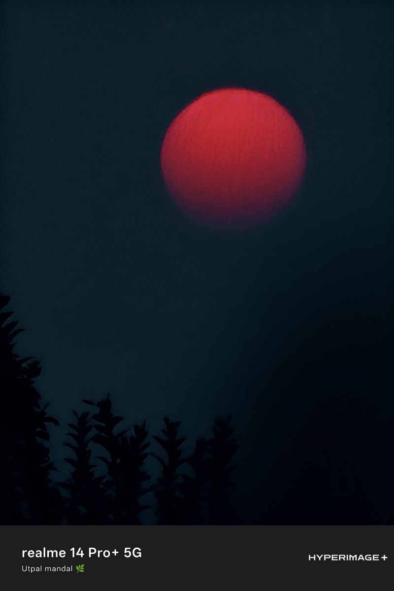 Utpalmandal2022's tweet photo. Super Sunset.
Unforgettable memories
Device: Realme 14 pro plus 5G.
#OurPhoneYourTake
#realme14Series5G
#realmeCommunity
#realme
Tag friends:
@143_pushpendra
@Rambabu0123456
@A_sharma45
@kkheroo786
@Nitesh805181 https://t.co/sEl1O6VUw6