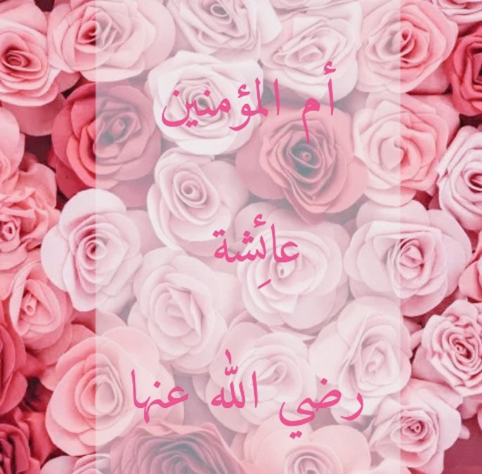 كانت أمنا عائشة متواضعة ترفض المال!
 
أُهدي إليها مئة ألف درهم (ثروة ضخمة جدًا وقتها)،فتصدّقت بها كلها في يوم واحد، وهي صائمة. فلما جاء المغرب، طلبت من جاريتها تفطرها، فقالت: "ما أبقيتِ لنا شيئًا نشتري به طعامًا؟" قالت:"لو ذكرتني لفعلت" كانت تنسى نفسها، وتذكر المحتاجين.