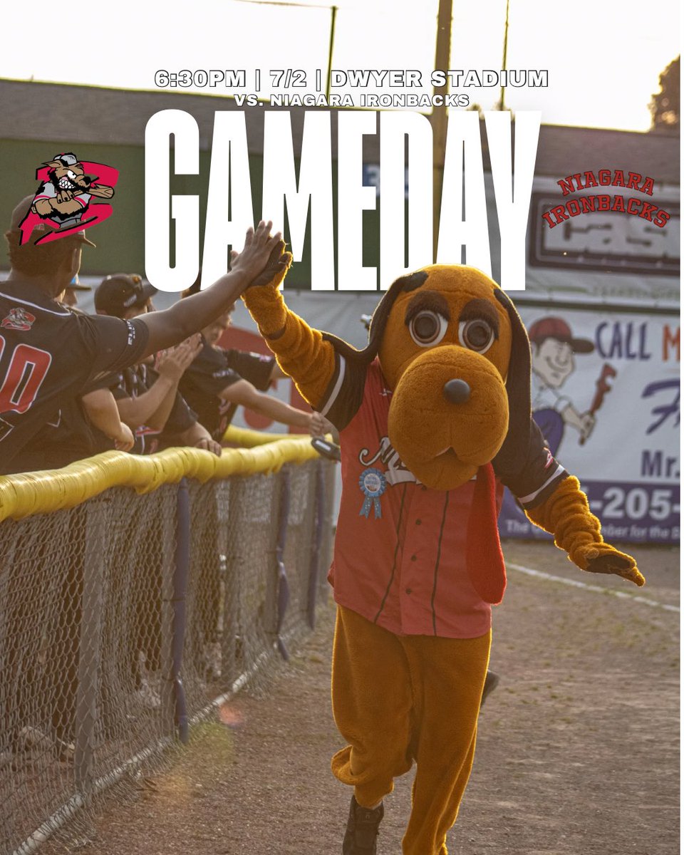 BataviaMuckdogs's tweet photo. IT’S GAMEDAY‼️
vs. the Niagara Ironbacks 
Starting at 6:30pm, with gates opening at 5:30pm

AND……….it’s GUARANTEED WIN NIGHT

Stop by Dwyer Stadium or call 585-524-2260 to get your tickets‼️

#guarantee #muckdogs #baseball #ncaa #collegesports #studentathlete #collegegameday https://t.co/jiOhA7RxH9
