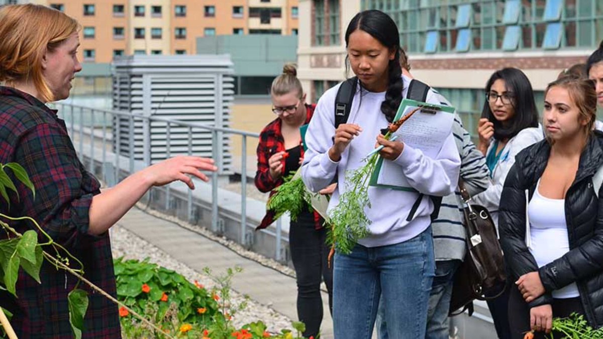 🌿 Explore @torontomet’s Summer Open Farm Wednesdays, 11am - 2pm this summer! Enjoy stunning Toronto views from the DCC 8th floor and visit the pop-up farm stand for fresh produce, flowers and homemade iced tea—all straight from the rooftop farm! rebrand.ly/wb9ufkg