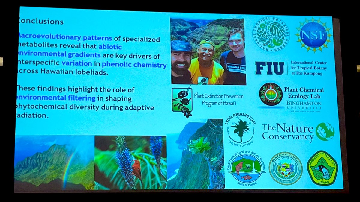 Plant Chemical Ecology Lab presente en Oaxaca 🇲🇽. 🌿 Amazing talk at #ATBC2025 by Chris Sorich! Our lab's research reveals how Hawaiian lobeliads use specialised metabolites not just for defense—but to adapt to climate stress 🌞🌧️ 🌱 #ChemicalEcology  #Metabolomics <a href="/chem_eco/">Diego Salazar Amoretti</a>