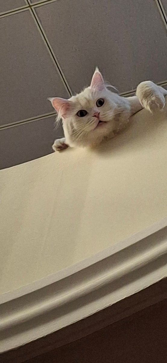 He wanted to jump from the top floor.