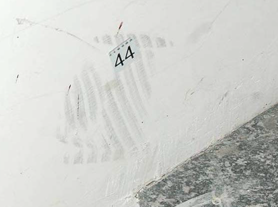 Dave Pollak ᓚᘏᗢ 🇧🇹 tweet media