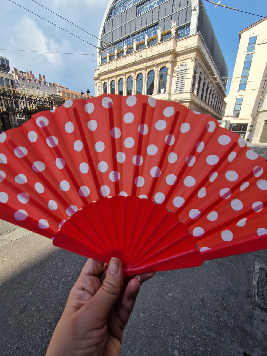 MADAOUIS's tweet image. #Lyon #canicule2025 #Éventails Les commerces sont pris d'assaut. Au "Tout à 2euros", ils se vendent comme des petits pains assure la vendeuse.