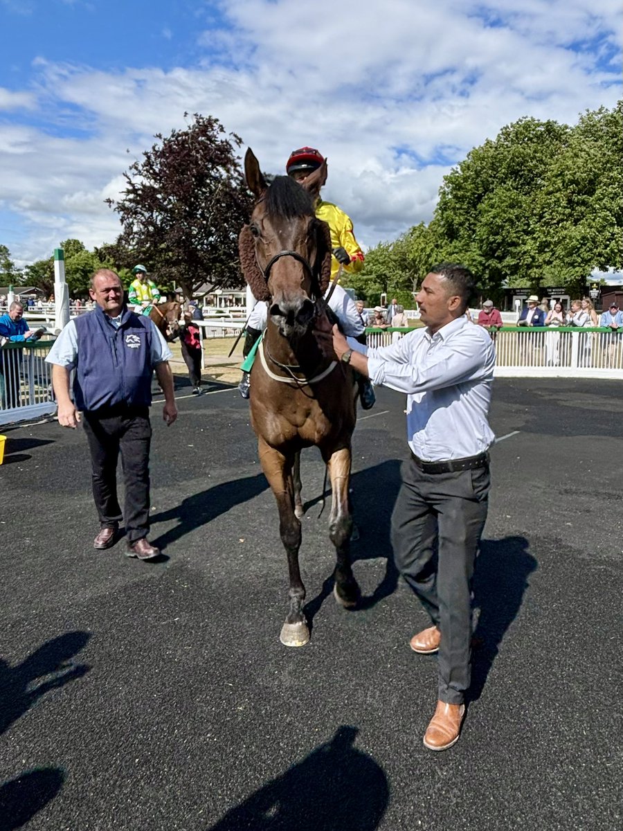 Tim Easterby Reality Partners (@tde_syndicates) on Twitter photo It was another super run by LEAP DAY to finish 2nd 🥈 at Thirsk. He has now finished 2nd three times 🥈🥈🥈this season. He certainly deserves a win shortly 🤩 #TimEasterby #RealityPartners It was another super run by LEAP DAY to finish 2nd 🥈 at Thirsk. He has now finished 2nd three times 🥈🥈🥈this season. He certainly deserves a win shortly 🤩 #TimEasterby #RealityPartners