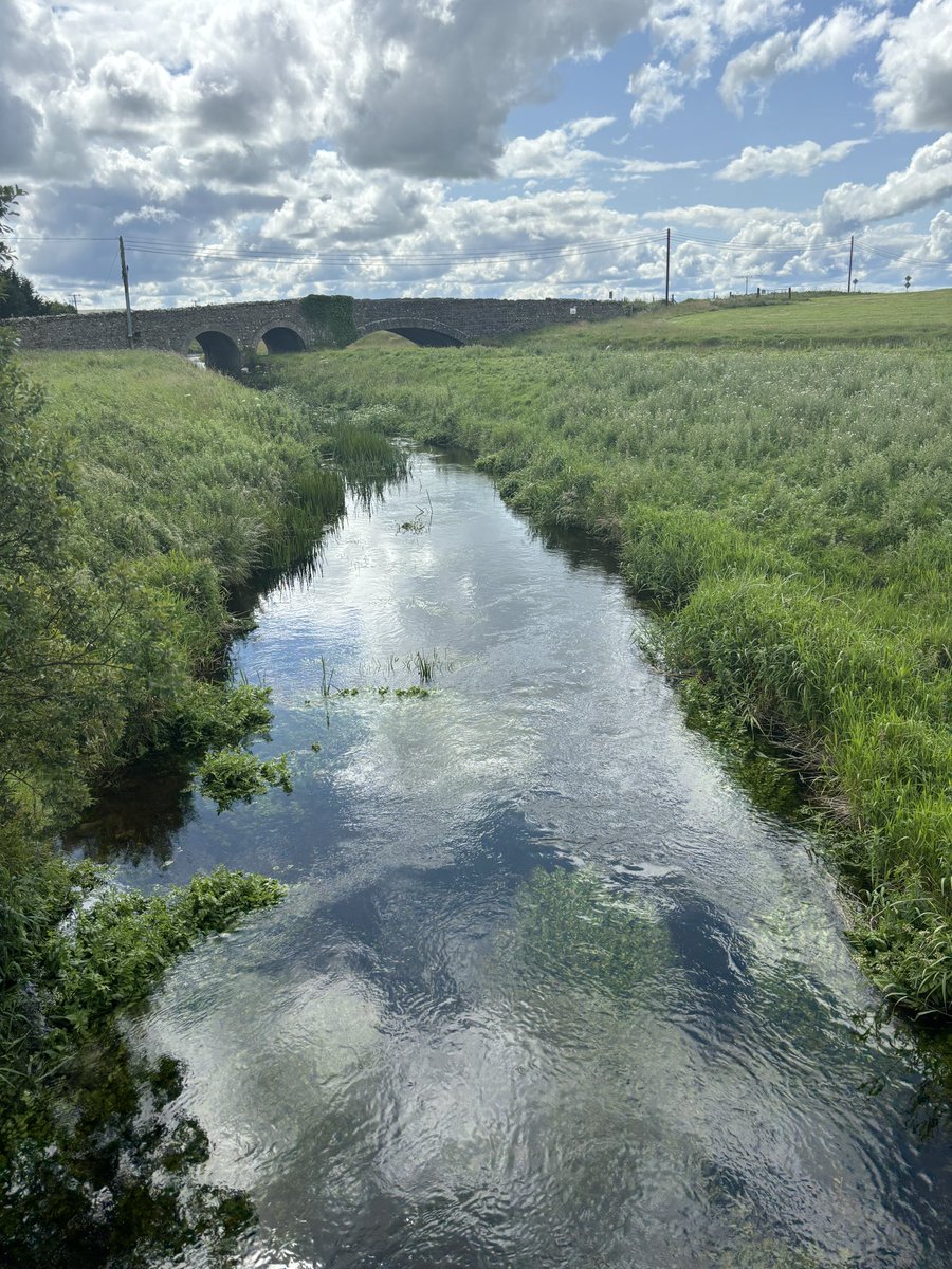 Third day on the road. We have reached the west coast and we are still collecting samples. 🏞️

#freshwater #eDNA