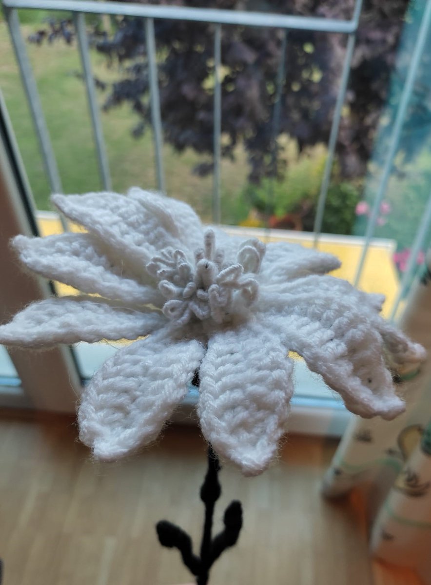 Tried crocheting the delicate flower from hollow knight