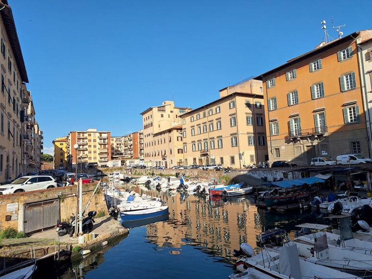 MondoInTasca tweet media