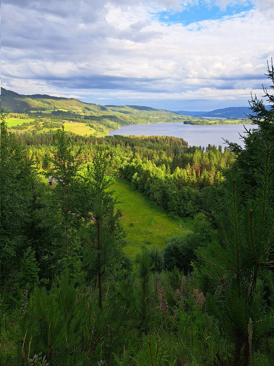 Heming H. Gujord tweet media