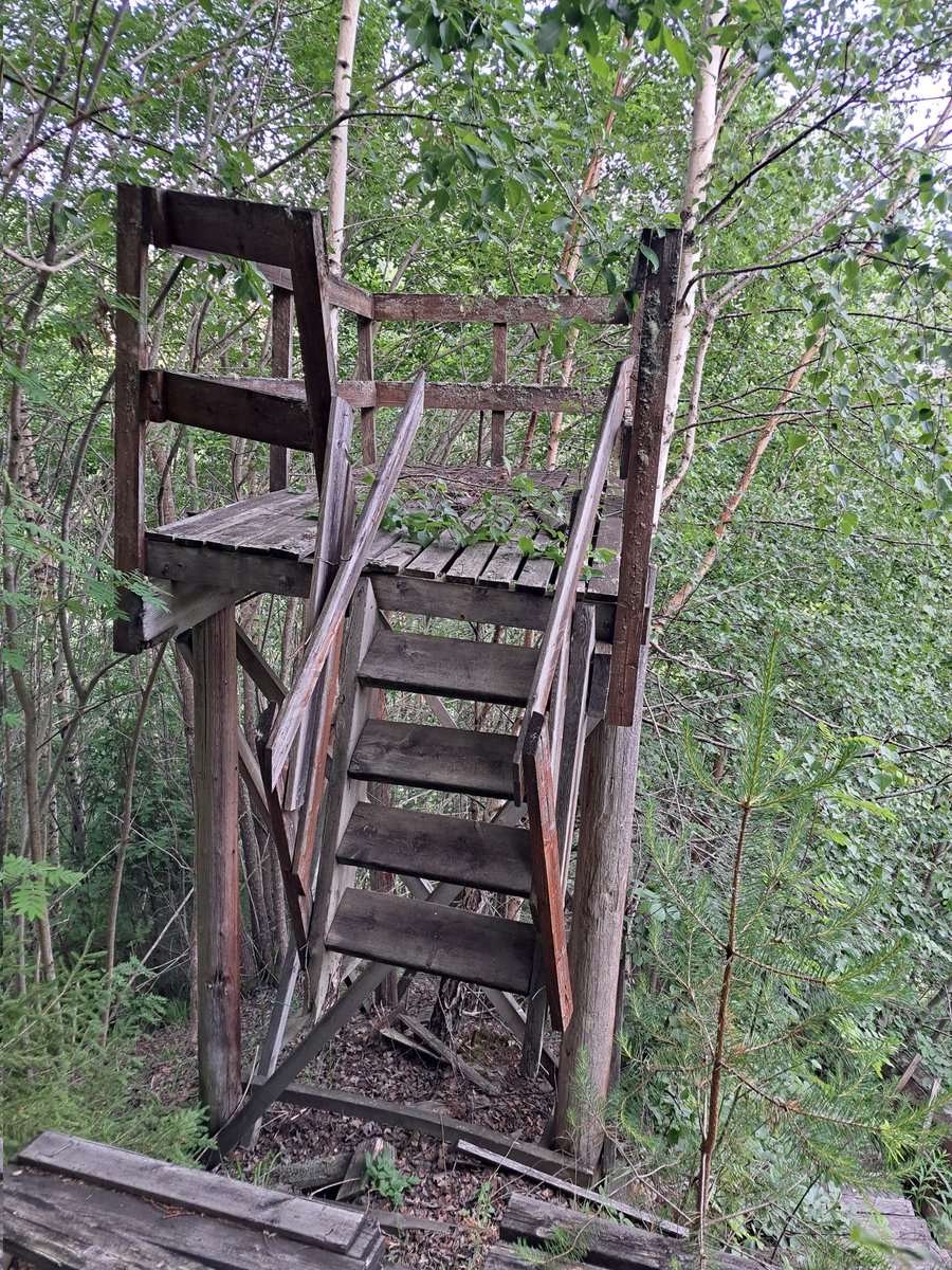 Heming H. Gujord tweet media