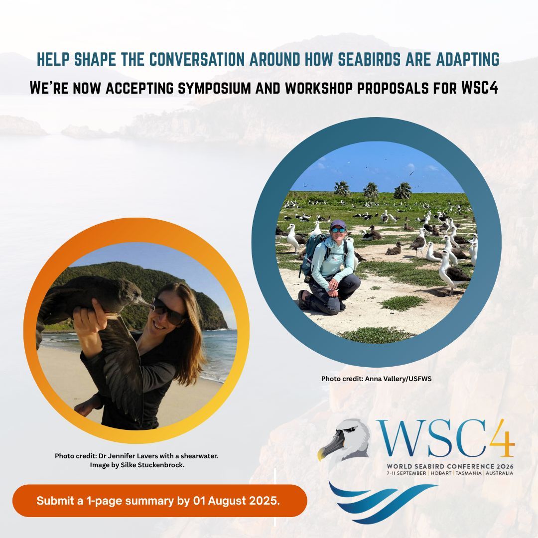Seabirders's tweet image. 🌊 Attention seabird scientists and conservationists! 🐦
Submit your symposium and workshop proposals for WSC4. 📄 Submit a 1-page summary by 01 August 2025. bit.ly/4e6wQdc
Let’s shape the future of seabird science! 🌍🪶