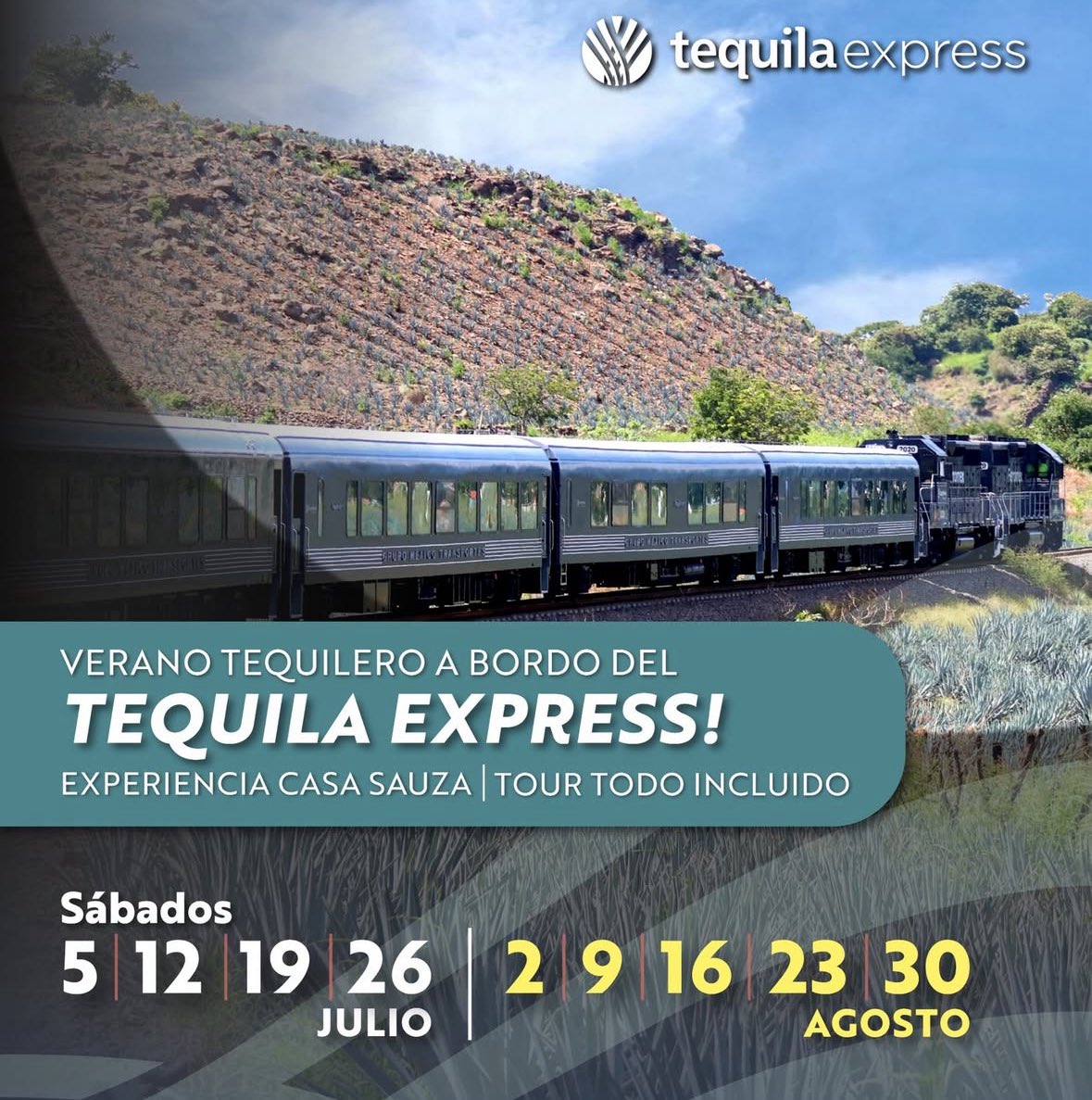 Tequila Tours Express 🟢 tweet media