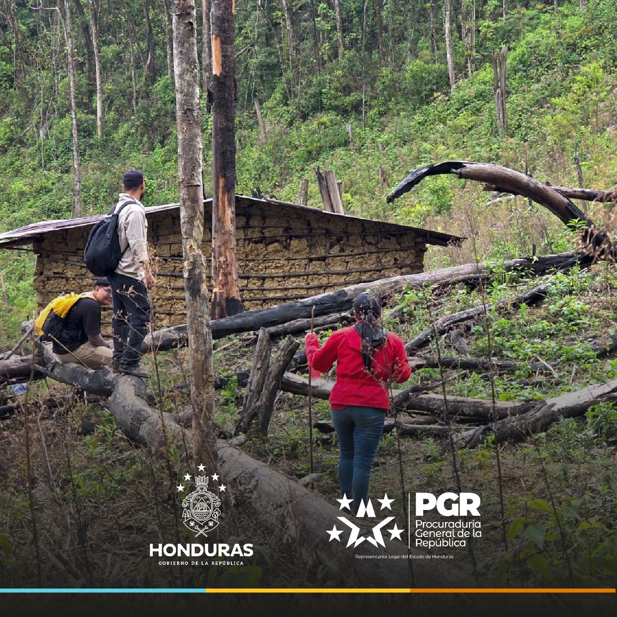 📌 En operativo interinstitucional detectan daños ambientales en zona núcleo del Parque Montaña de Yoro

La Procuraduría General de la República (PGR), en conjunto con el Instituto de Conservación Forestal (<a href="/ICFHonduras/">ICF</a>) a través de la Fuerza de Tarea Interinstitucional Ambiental