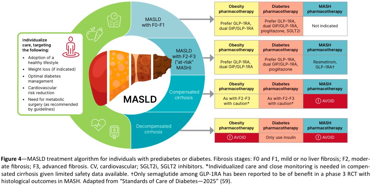 Algoritmo de tratamiento para la enfermedad hepática esteatósica asociada a disfunción metabólica (MASLD) en personas con prediabetes o diabetes:

Diabetes Care 2025; DOI: doi.org/10.2337/dci24-…