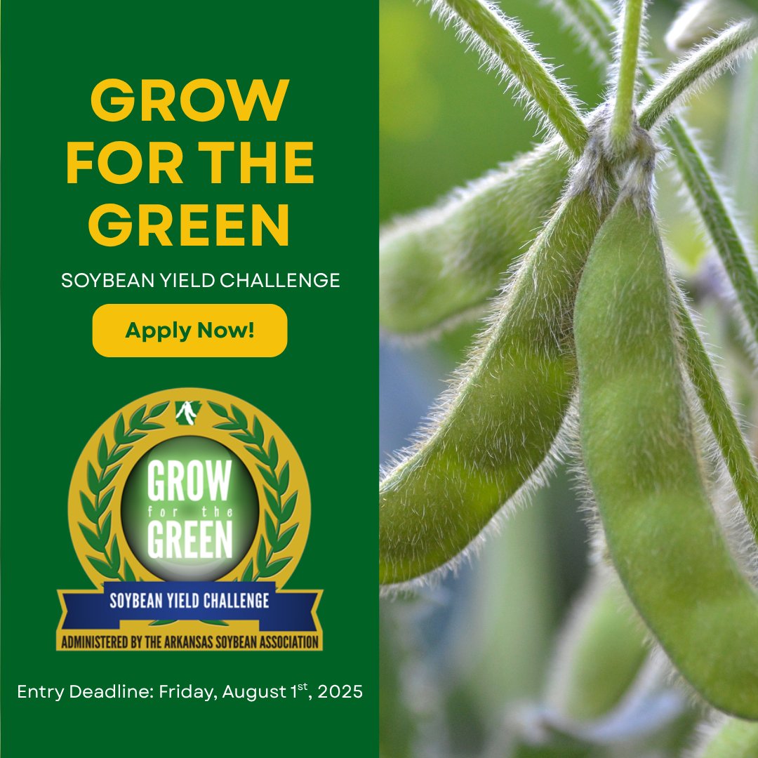 arkansassoybean's tweet image. Think your soybean crop stands out? Enter the 2025 Grow for the Green Soybean Yield Challenge to compete for cash prizes, recognition and support Arkansas research. The deadline is Friday, August 1.
Apply now or learn more: ecs.page.link/4LjgW
#GrowForTheGreen #ARSoybeans
