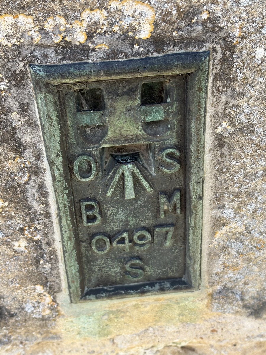 Tina Bergman tweet media