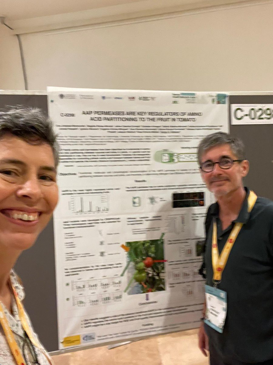 Happy to share our communication on AAP permeases in tomato at the #IberianPlantBiology2025
 @photoassimilatepartitioning #TOMAA <a href="/AgEInves/">Agencia Estatal de Investigación</a>