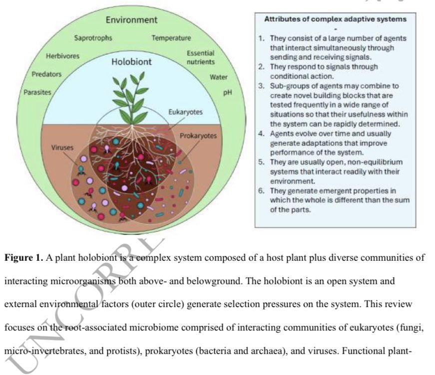 Dr. César Marín (@cesarmarin203) on Twitter photo After 6 years of work (since ICOM Mérida 2019) with #NancyCollinsJohnson our “Functional team selection as a framework for local adaptation in plants and their belowground microbiomes” is out in <a href="/ISMEJournal/">The ISME Journal</a>!
#Holobiont #NicheConstruction #Mycorrhiza
doi.org/10.1093/ismejo… After 6 years of work (since ICOM Mérida 2019) with #NancyCollinsJohnson our “Functional team selection as a framework for local adaptation in plants and their belowground microbiomes” is out in <a href="/ISMEJournal/">The ISME Journal</a>!
#Holobiont #NicheConstruction #Mycorrhiza
doi.org/10.1093/ismejo…