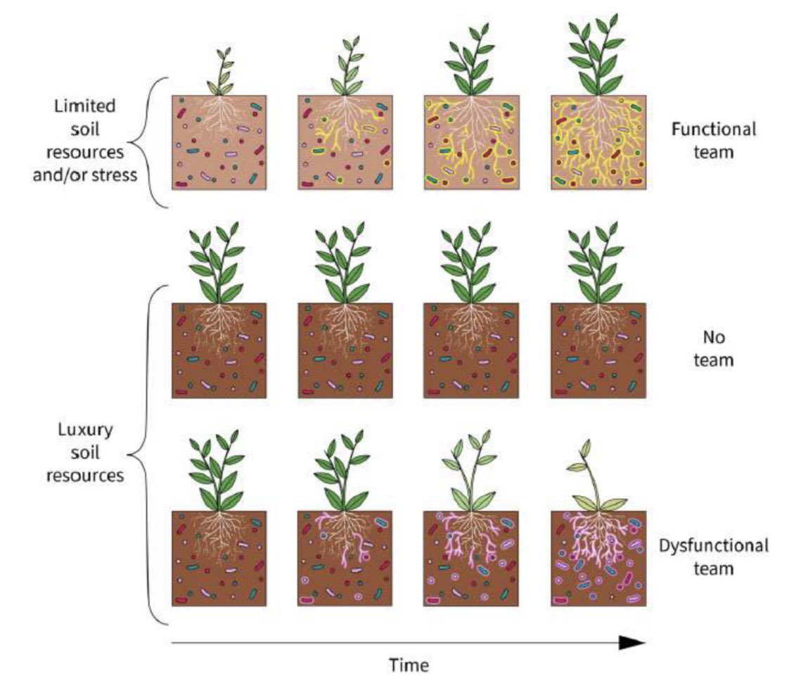Dr. César Marín tweet media