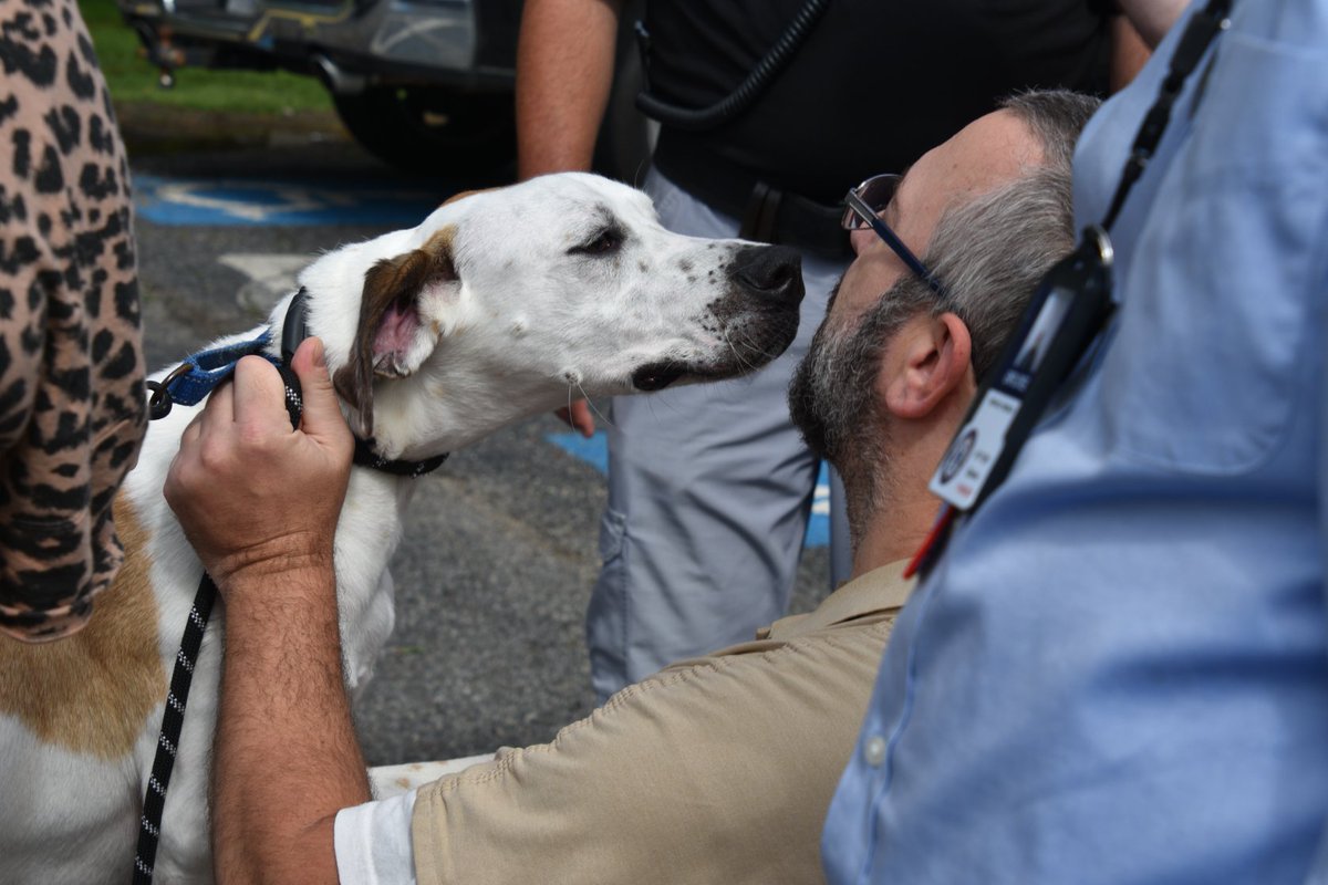 distevhass31's tweet image. Group 46 - Welcomes Simon, Henry and Fred from Castoff Pet Rescue! ❤️🐾@GA_Corrections @GAFirstLady @CLALeadership @jeffbreedlove1 @Recovery_GC4R @endthewhisper @JellyRoll615