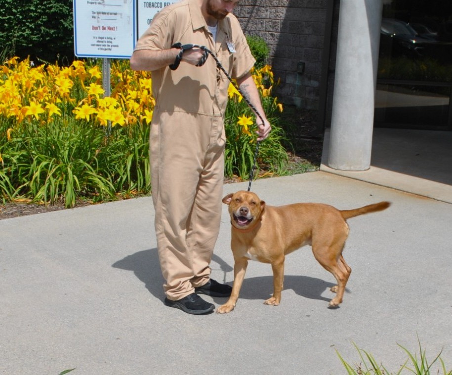 distevhass31's tweet image. Group 46 - Welcomes Simon, Henry and Fred from Castoff Pet Rescue! ❤️🐾@GA_Corrections @GAFirstLady @CLALeadership @jeffbreedlove1 @Recovery_GC4R @endthewhisper @JellyRoll615