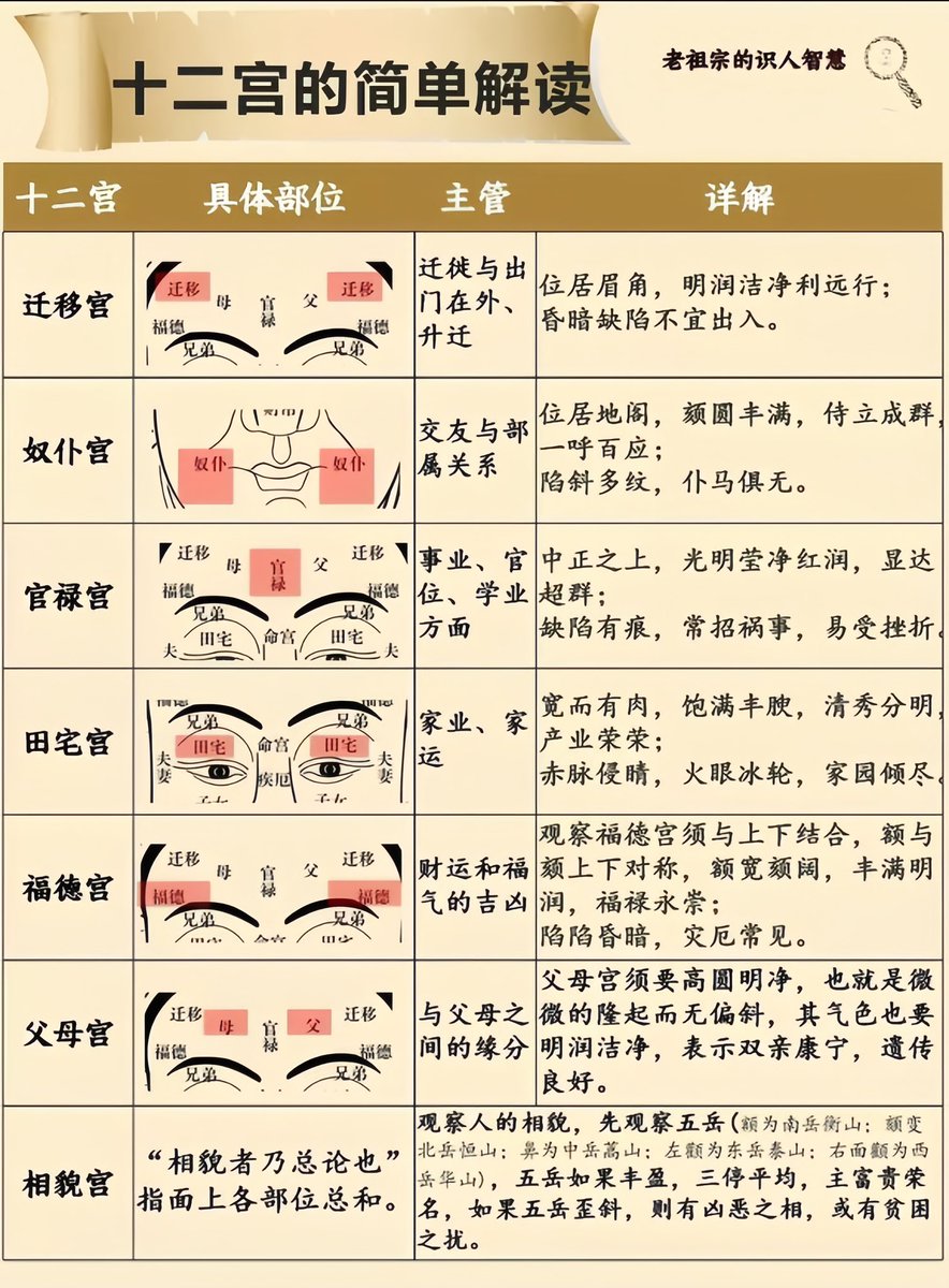 面相十二宫简介