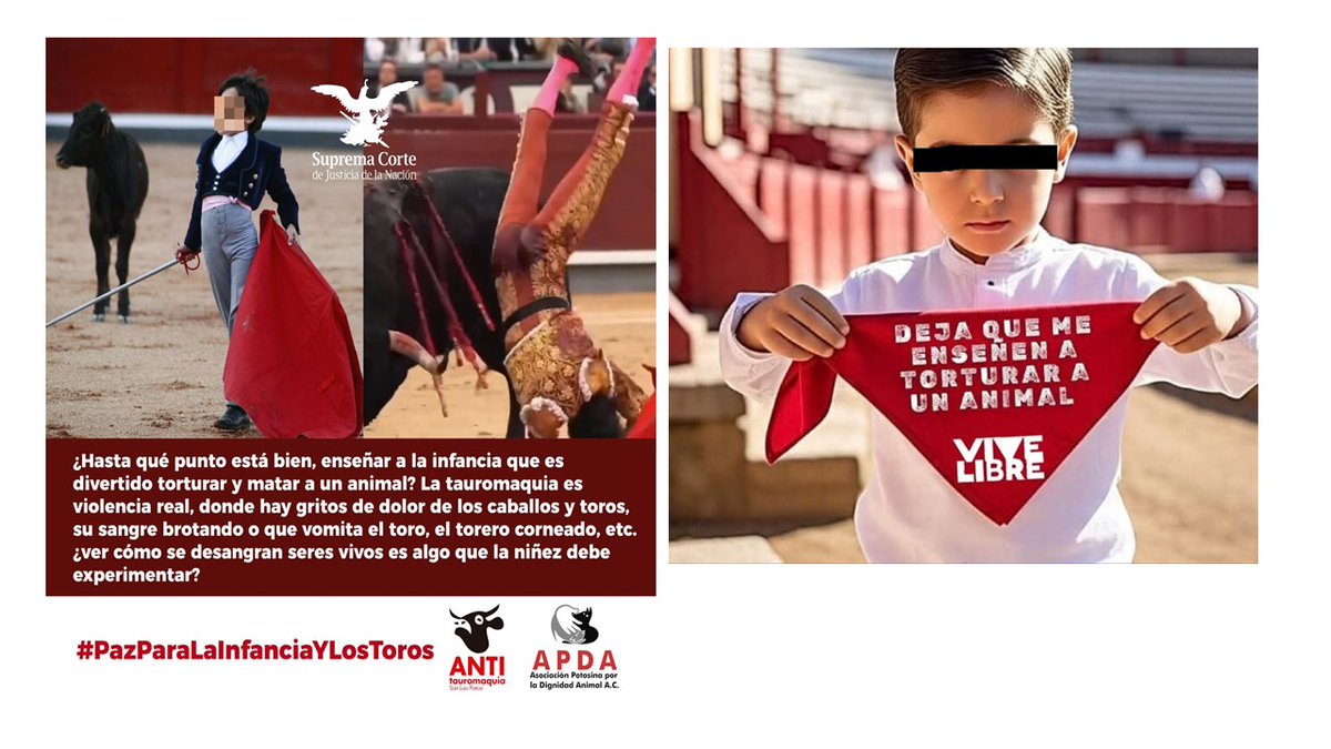 #Hilo URGENTE! <a href="/SCJN/">Suprema Corte</a> <a href="/LeniaBatres/">Lenia Batres</a> #LaynezPotisek #PérezDayán normalizar el dolor ajeno como diversión refuerza la insensibilidad y trivializa el sufrimiento. ¡Protejamos a la niñez!  #PazParaLaInfanciaYLosToros Pedimos amablemente su voto contra proyecto de <a href="/YasminEsquivel_/">Yasmín Esquivel Mossa</a>