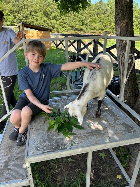 The CHPS Early Risers Summer Program ended with bright smiles and stellar growth! A huge thank you to all participants, volunteers, staff and families – your energy made it unforgettable! Check out some of our highlights below.