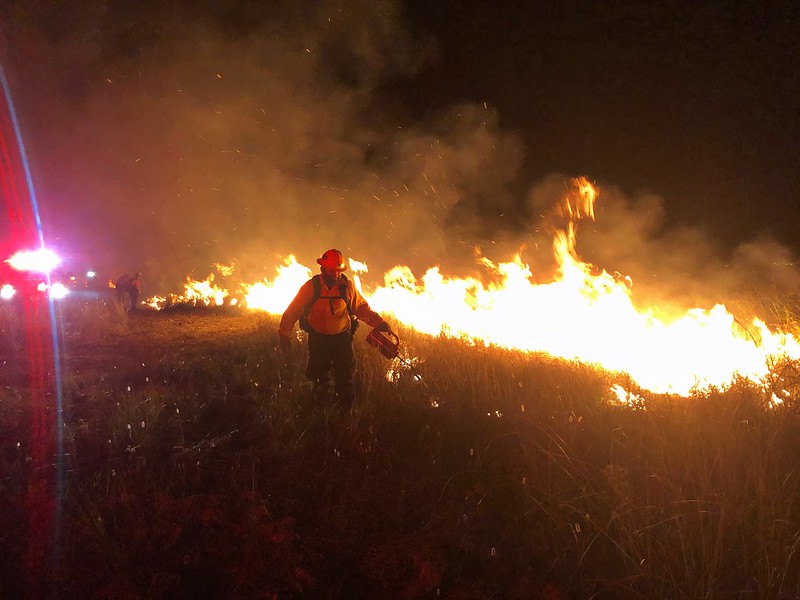 🧑‍🚒 Today, #NationalWildlandFirefighterDay, we salute the brave men and women who serve as firefighters in South Florida and beyond. From wildfire to prescribed burn, you have our sincerest gratitude for all that you do. #WildlandFirefighters #EvergladesNationalPark