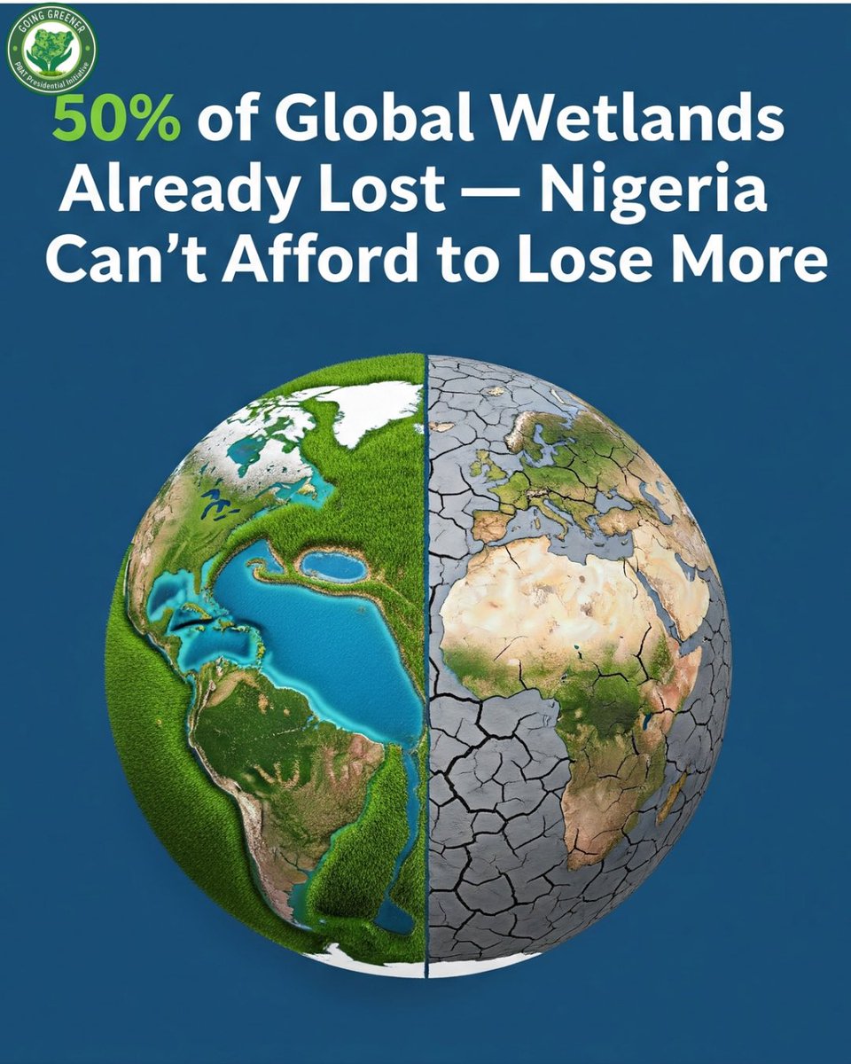 goinggreenernig's tweet image. Wetlands store water, protect communities, and support life — but they’re disappearing fast.

We can’t afford to lose more.

Protect wetlands. Protect our future.

#ProtectTheEarth #WetlandsMatter #GoingGreener #ProtectNature #ActForThePlanet #ActNow #SustainableLiving