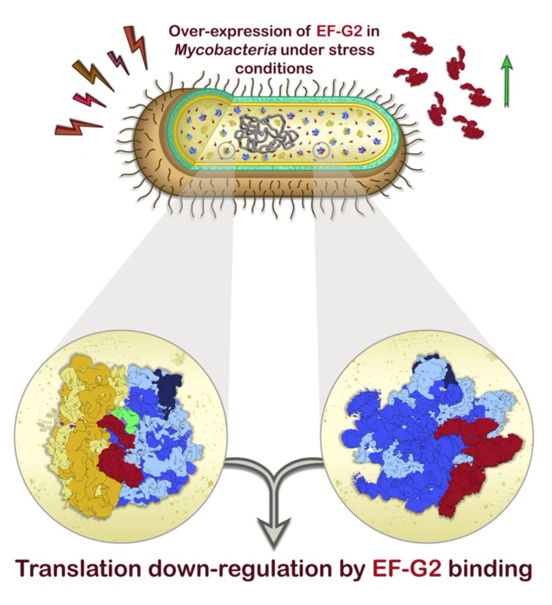 Priya Baid tweet media