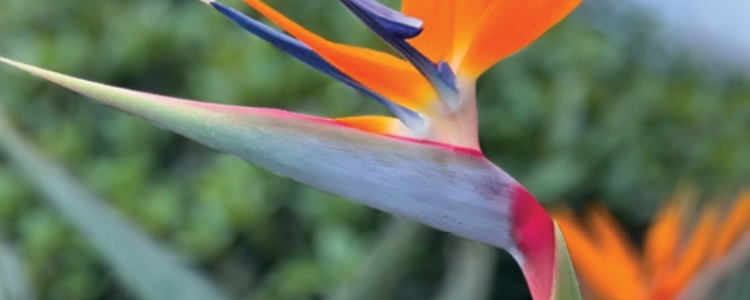 DoctorsUpdates tweet media