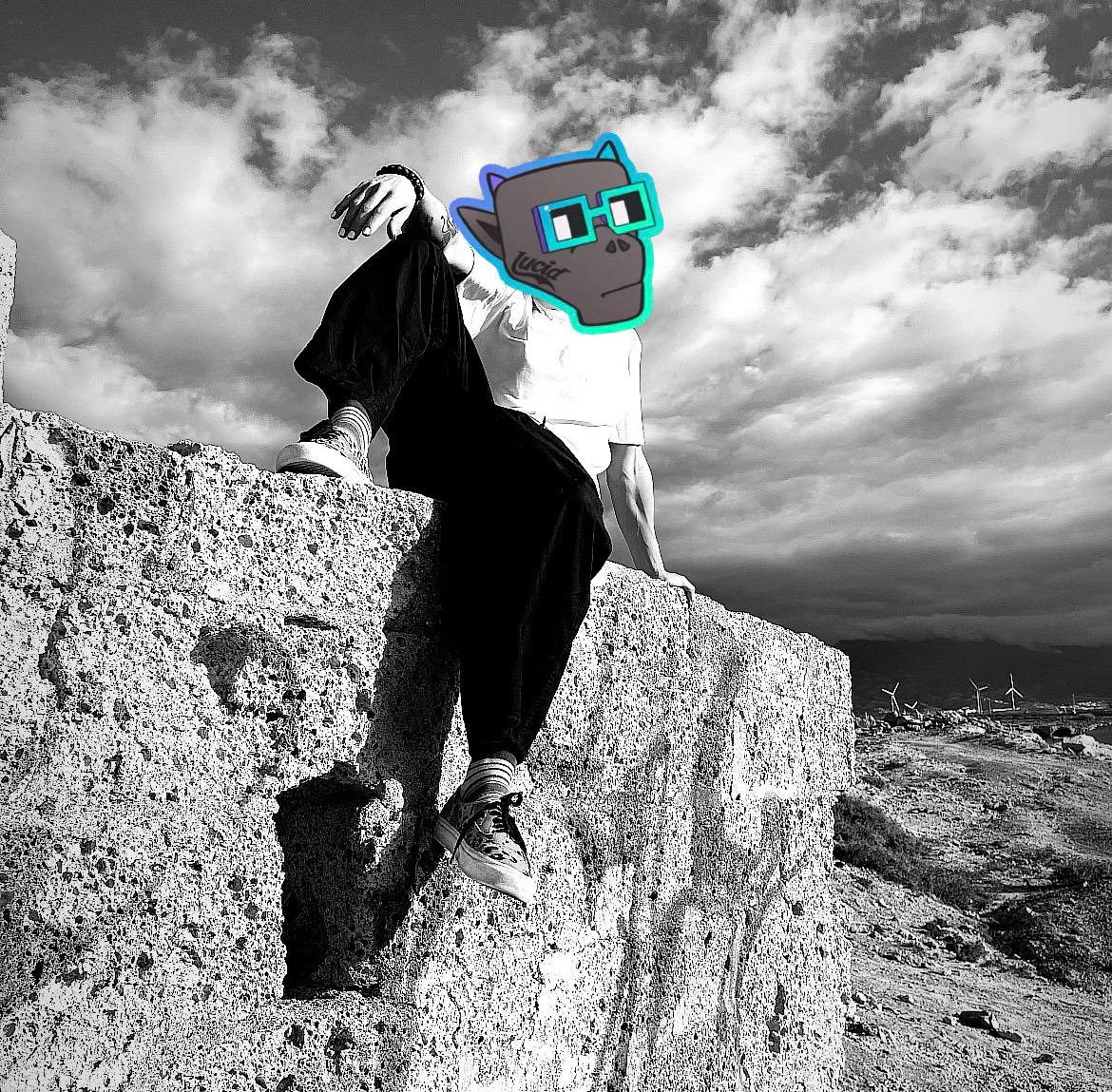 Drakes don’t wait for good times.
They wake up, build, and make them.