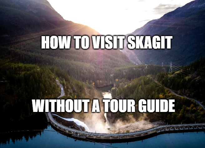 Skagit Tours tweet media