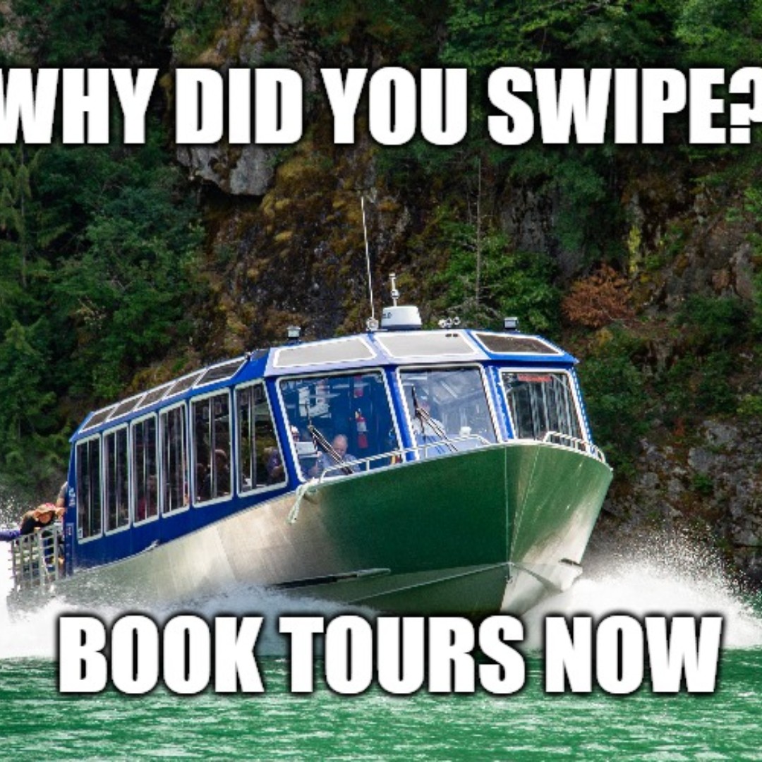 Skagit Tours tweet media