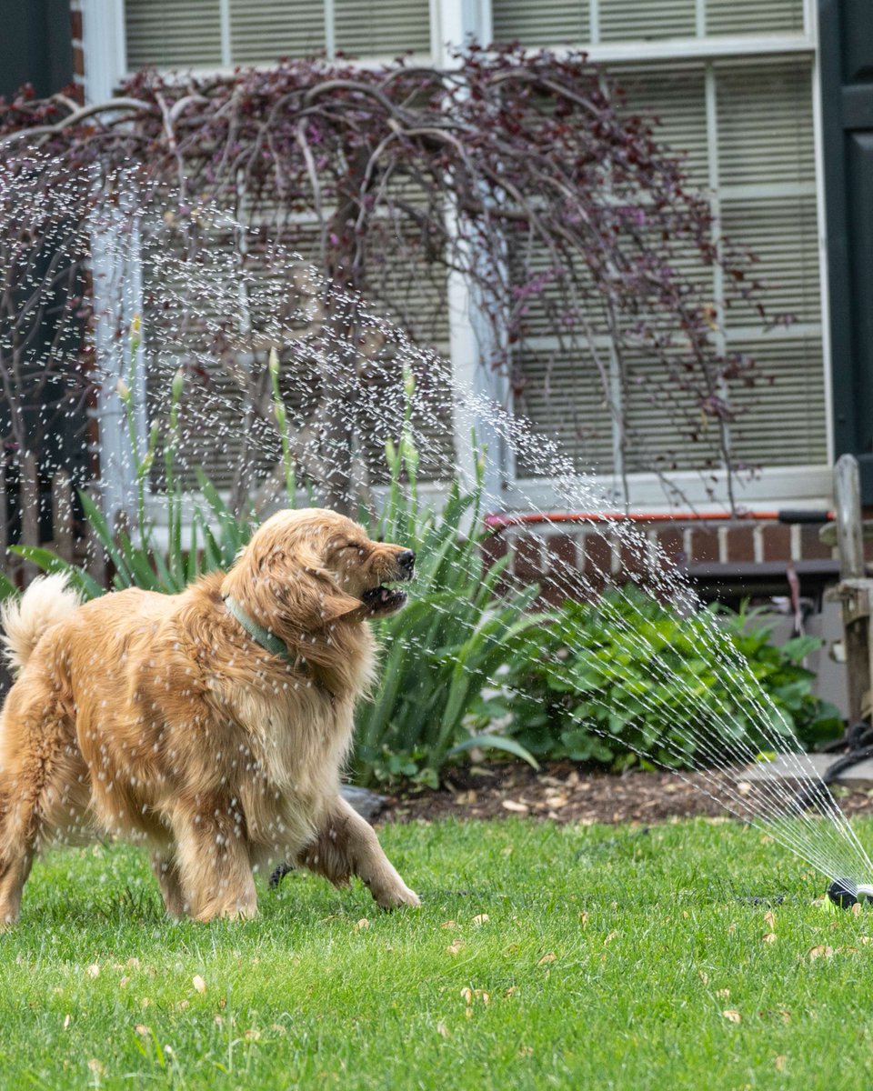 Outdoor water use adds up fast! One way to tell if your lawn needs water is to walk across it! If the grass doesn’t spring back, it’s time to water. 

See more water conservation tips at groundwater.org/conserve-prote…